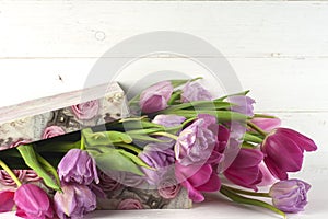 Purple tulips and gift box