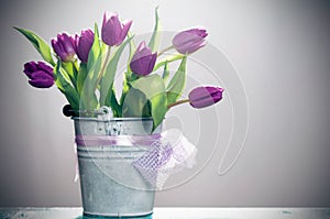 Purple tulips in retro bucket