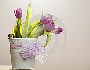 Purple tulips in retro bucket