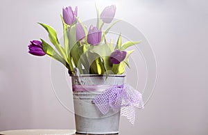 Purple tulips in retro bucket