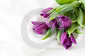 Purple tulips on silk