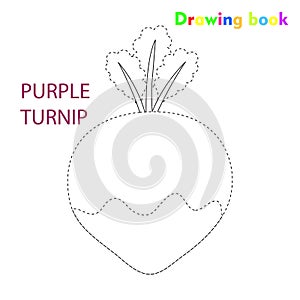 Purple turnip coloring and drawing book vegetable design illustration