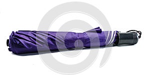 Purple umbrella