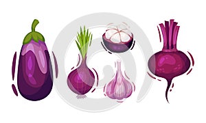 Purple Vegetables with Eggplant and Beet Vector Set