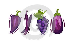 Purple Vegetables and Fruits with Eggplant and Grapes Vector Set
