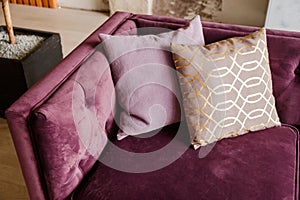 Purple velvet sofa with golden pillow in living room interior