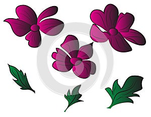 Purple violet flower set with green leafs