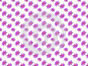 Purple violet lotus flower or water lily seamless pattern background wallpaper. Gift wrap pattern