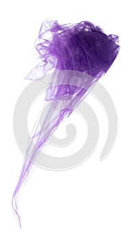 Purple Violet Organza fabric flying in curve shape, Piece of textile blue sky organza fabric throw fall in air. White background