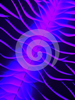 Purple Violet Spinal Network