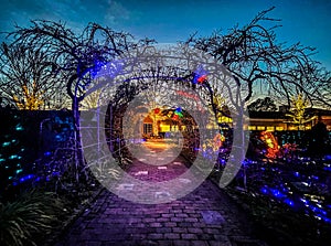 Purple walkway with garden in the winter