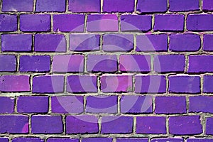 Purple wall photo