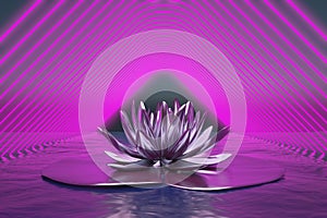 purple water lily in neon lighting