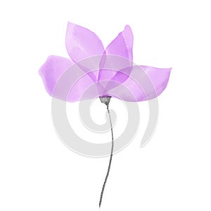 Purple watercolor flower artistic painting isolated on white background. Illustration with ethereal subdued colors