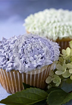 Purple and white cupcakes