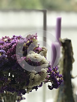 Purple and white flowers in front of purple candles