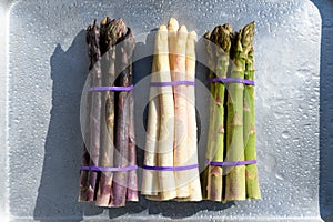 Purple, white and green asparagus sprouts on metal board