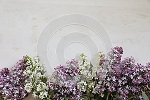 Purple and white lilacs flowers. Blooming tree branches of Syringa vulgaris on blurred white shabby wooden surface. Old