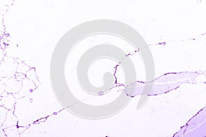 Purple and white marble pattern, showing white background with purple veins, or grains, in the marble slate. This is a cut marble