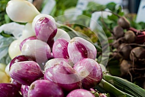 Purple and White Onions