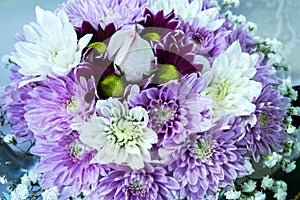 Purple and white posy bouquet of chrysanthemum flowers surrounding a single white rose