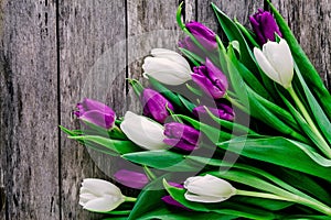 Purple and white tulips bouquet on a rustic wooden background