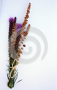 Purple wild flowers tied with twine o