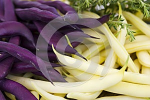 Purple and yellow beans with herbs close-up