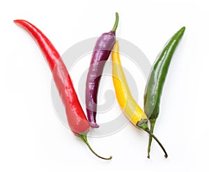 Purple yellow Chilli W letter type for words and texts like vegan vegetables isolated