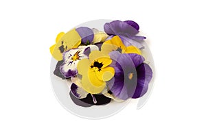 Purple and yellow edible flowers isolated on white background