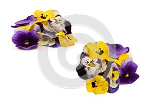 Purple and yellow edible flowers isolated on white background