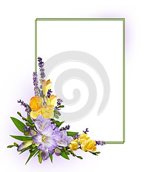 Purple and yellow freesia flowers in a corner floral arrangement with empty card on white