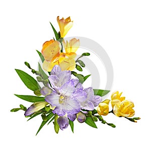 Purple and yellow freesia flowers in a corner floral arrangement isolated on white