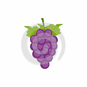 Purples grapes icon. Fresh bunch of grapes purple with green leaves isolated image on white background. Vineyard grape. Fresh