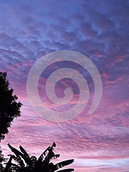 Purplesky
