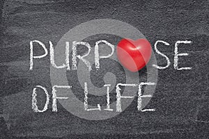 Purpose of life heart