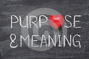 Purpose and meaning heart