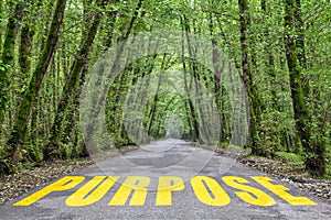 Jungle road to purpose