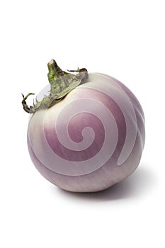 Purpura eggplant photo