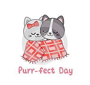 Purr-fect day. Kittens covered with a blanket. Valentine day card. Kawaii, cartoon, vector photo