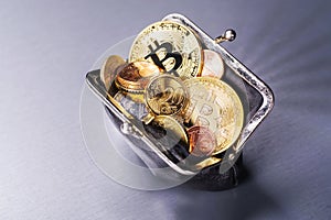 Purse with Bitcoin and other coins