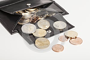 Purse with Euro coins