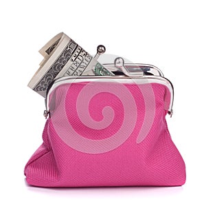 Purse with hundred dollar banknote