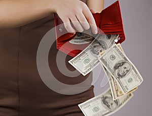 Purse with money in the hands of women, spending money