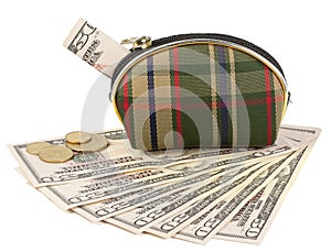Purse with money