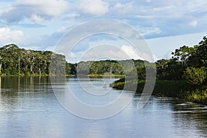 The purus river and tropical forest