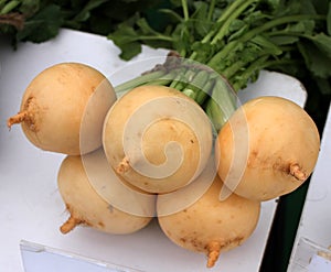 Pusa Swarnima Turnip