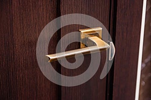 Push door handle made of copper close-up. Interior or entrance door design made of mahogany