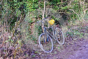 A pushbike with the saddle covered by a carrier bag resting againt an untidy hedge alongside a towpath