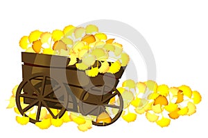 Pushcart and leaves photo